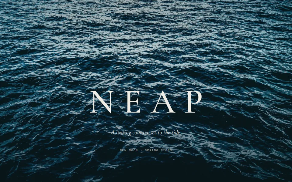 The NEAP homepage: the word &lsquo;NEAP&rsquo; in tracked serif caps over deep blue open water, above the line &lsquo;a tasting counter set to the tide&rsquo;.