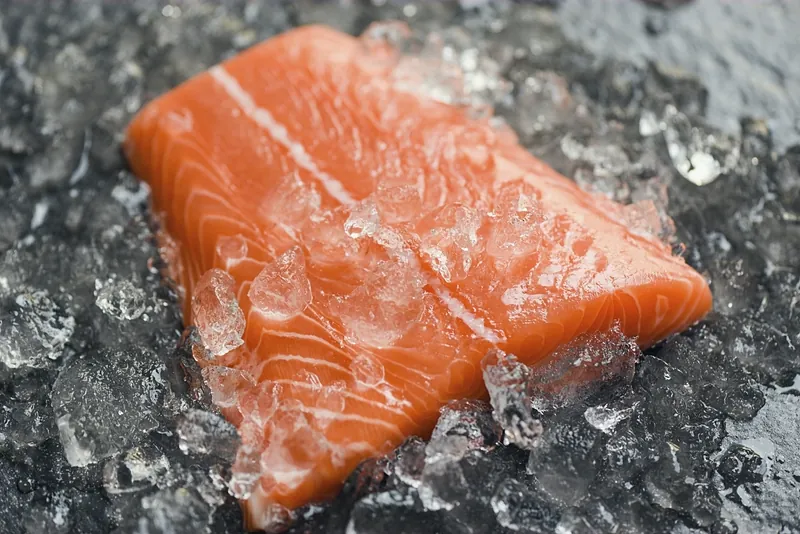 A cut of salmon resting on dark crushed ice.