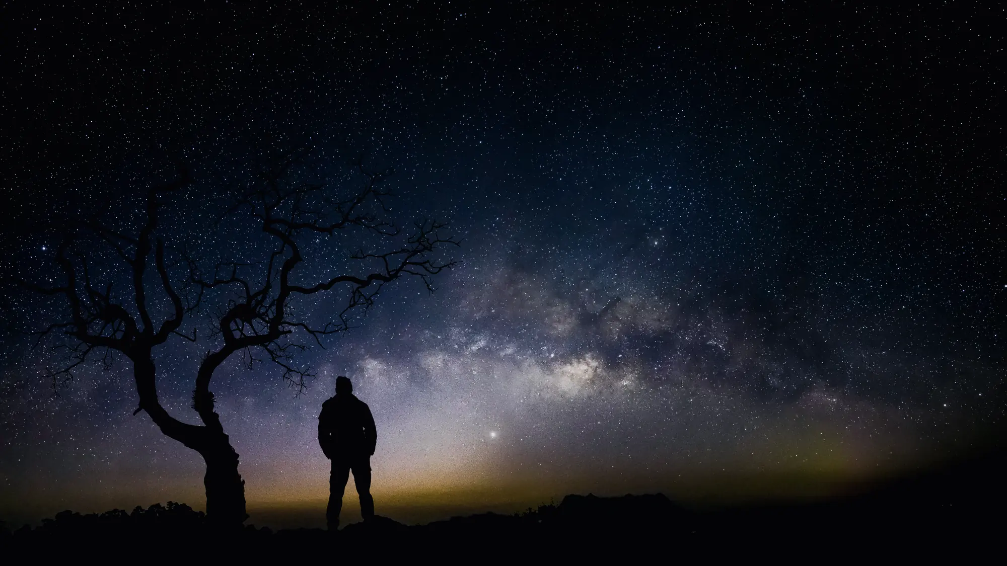 A lone figure standing beneath a bare tree on open moorland, with the Milky Way arching overhead and a faint band of light along the horizon.